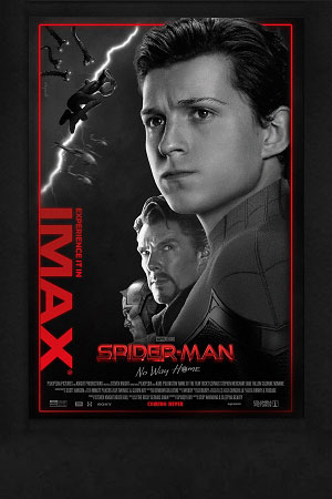 Spider-Man NWH