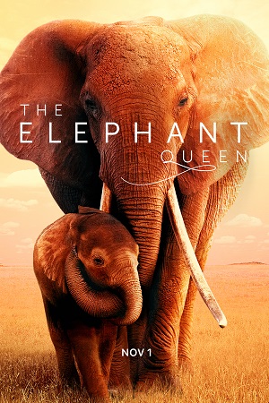The Elephant Queen
