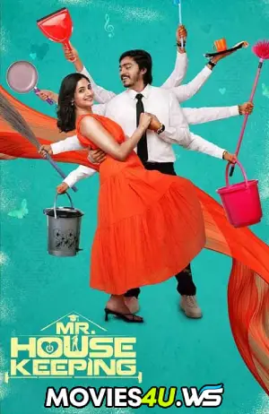 Mr. Housekeeping